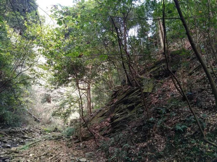 逃离梦想花园
